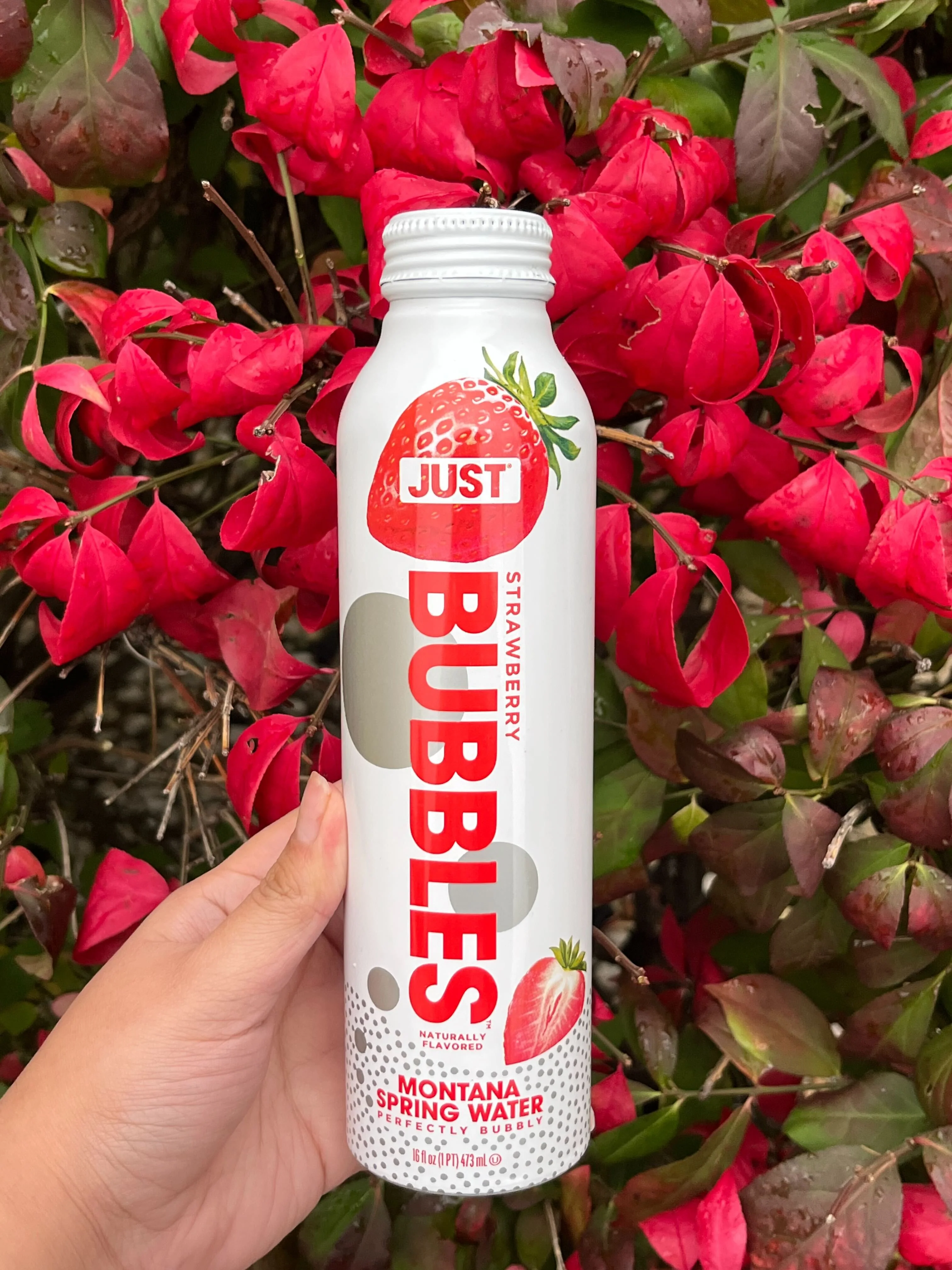 Strawberry Bubbles-- 16 fl oz | 24 Pack - Image 5